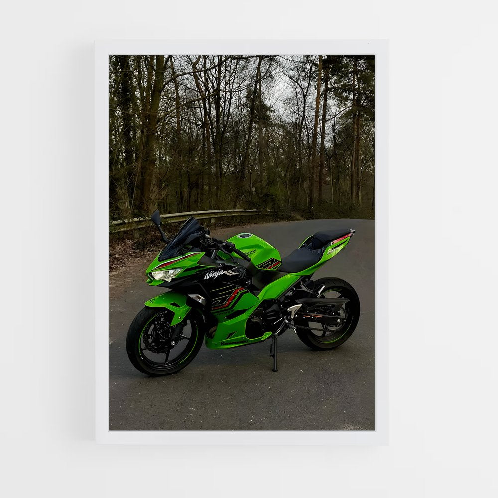 ap-ninja 300-1 cadre Blanc