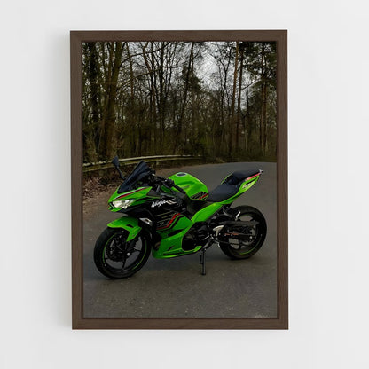 ap-ninja 300-1 cadre Bois foncé