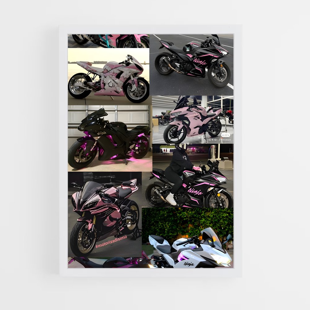 ap-ninja 400-2 cadre Blanc
