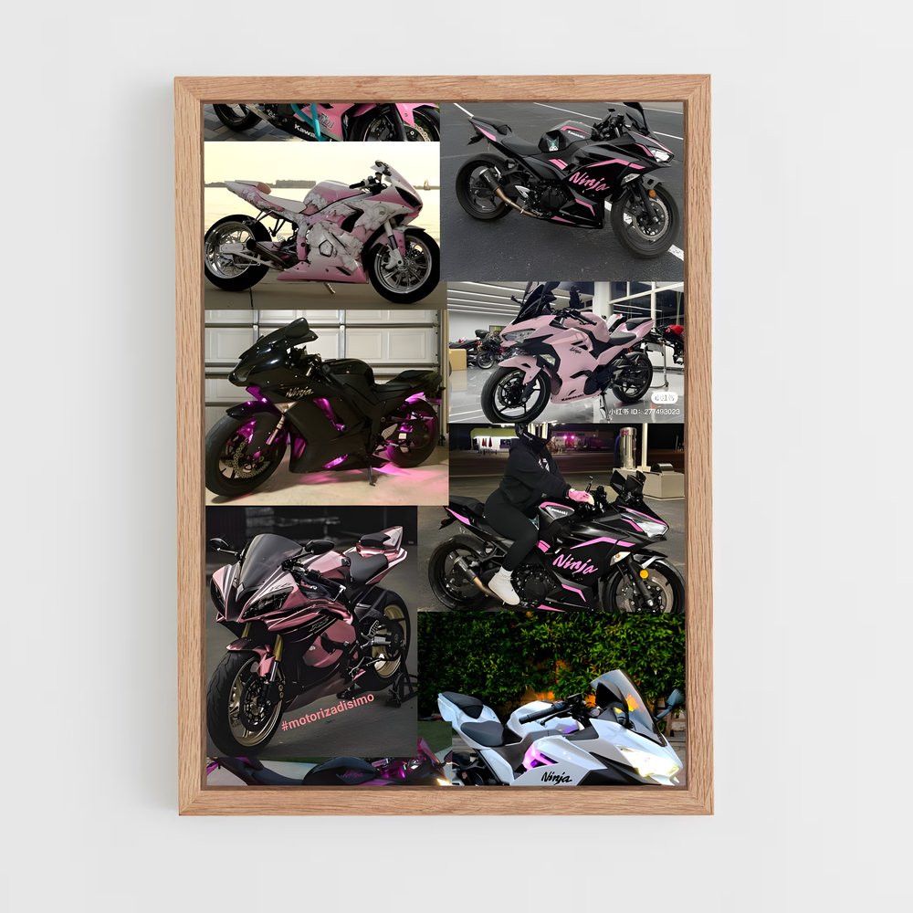 ap-ninja 400-2 cadre Bois clair