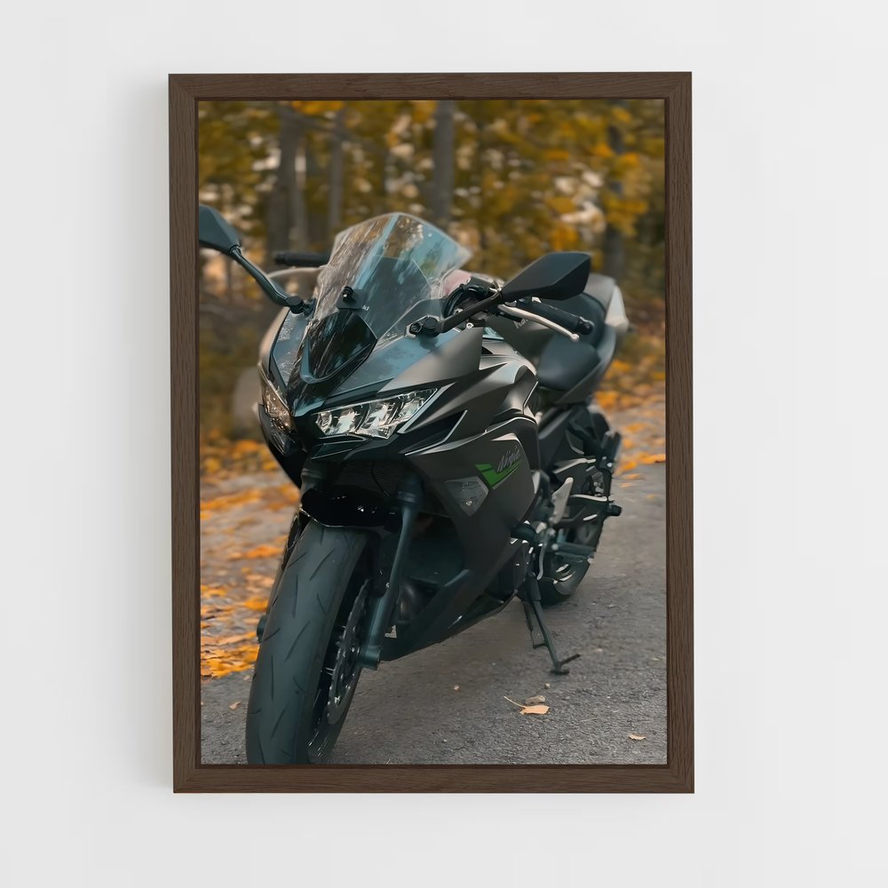 ap-ninja 650-1 cadre Bois foncé