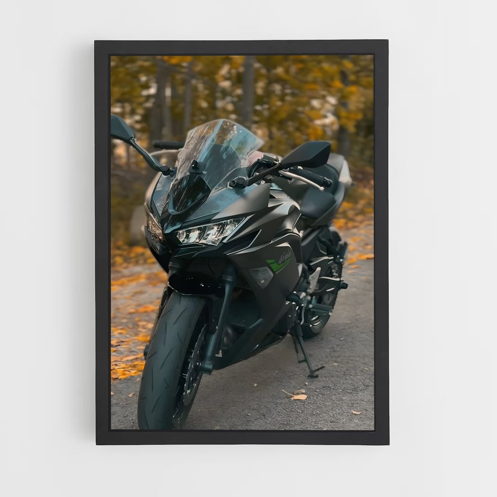 ap-ninja 650-1 cadre Noir