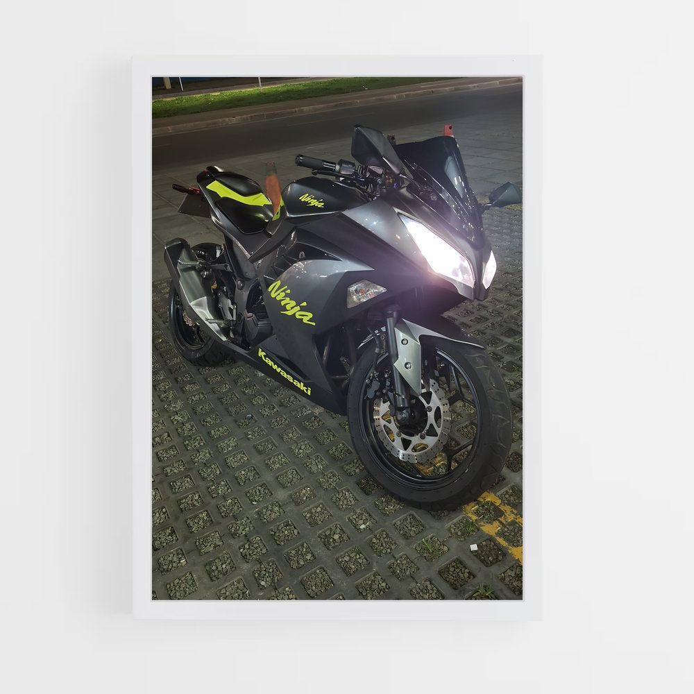 ap-ninja 650-3 cadre Blanc
