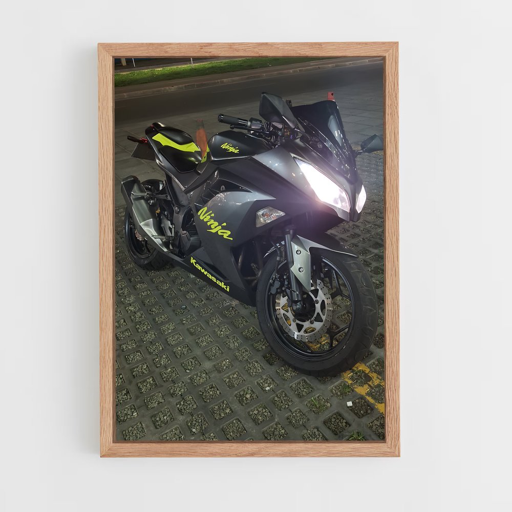 ap-ninja 650-3 cadre Bois clair