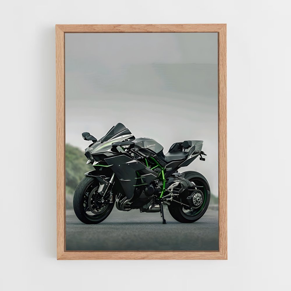 ap-ninja h2-1 cadre Bois clair