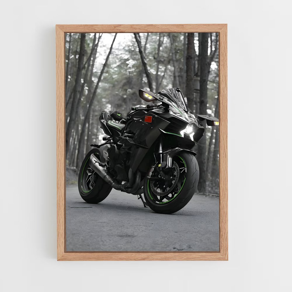 ap-ninja h2r-2 cadre Bois clair