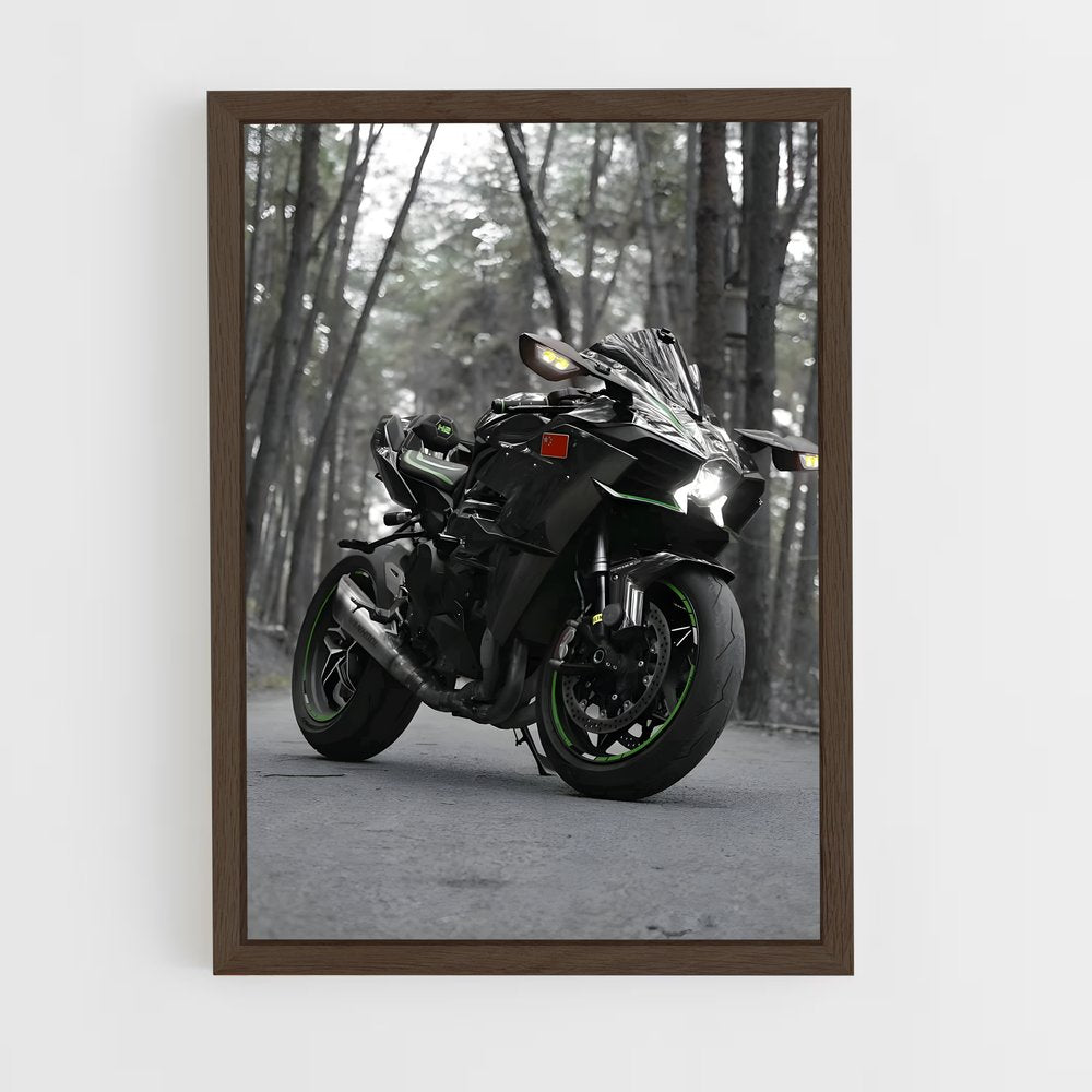 ap-ninja h2r-2 cadre Bois foncé