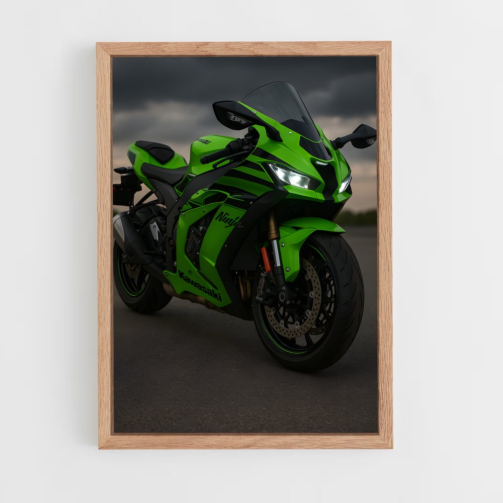 ap-ninja zx-10r-1 cadre Bois clair
