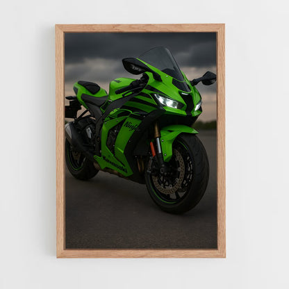 ap-ninja zx-10r-1 cadre Bois clair