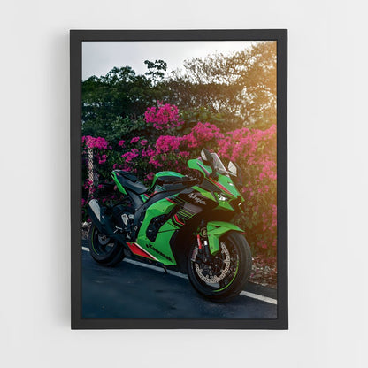 ap-ninja zx-10r-4 cadre Noir