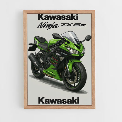 ap-ninja zx-6r-1 cadre Bois clair
