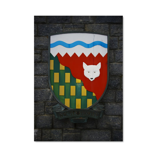 Poster L'Ours des Territoires