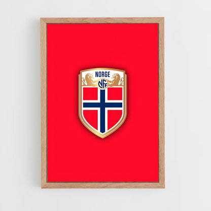 ap-norway national football team-5 cadre Bois clair