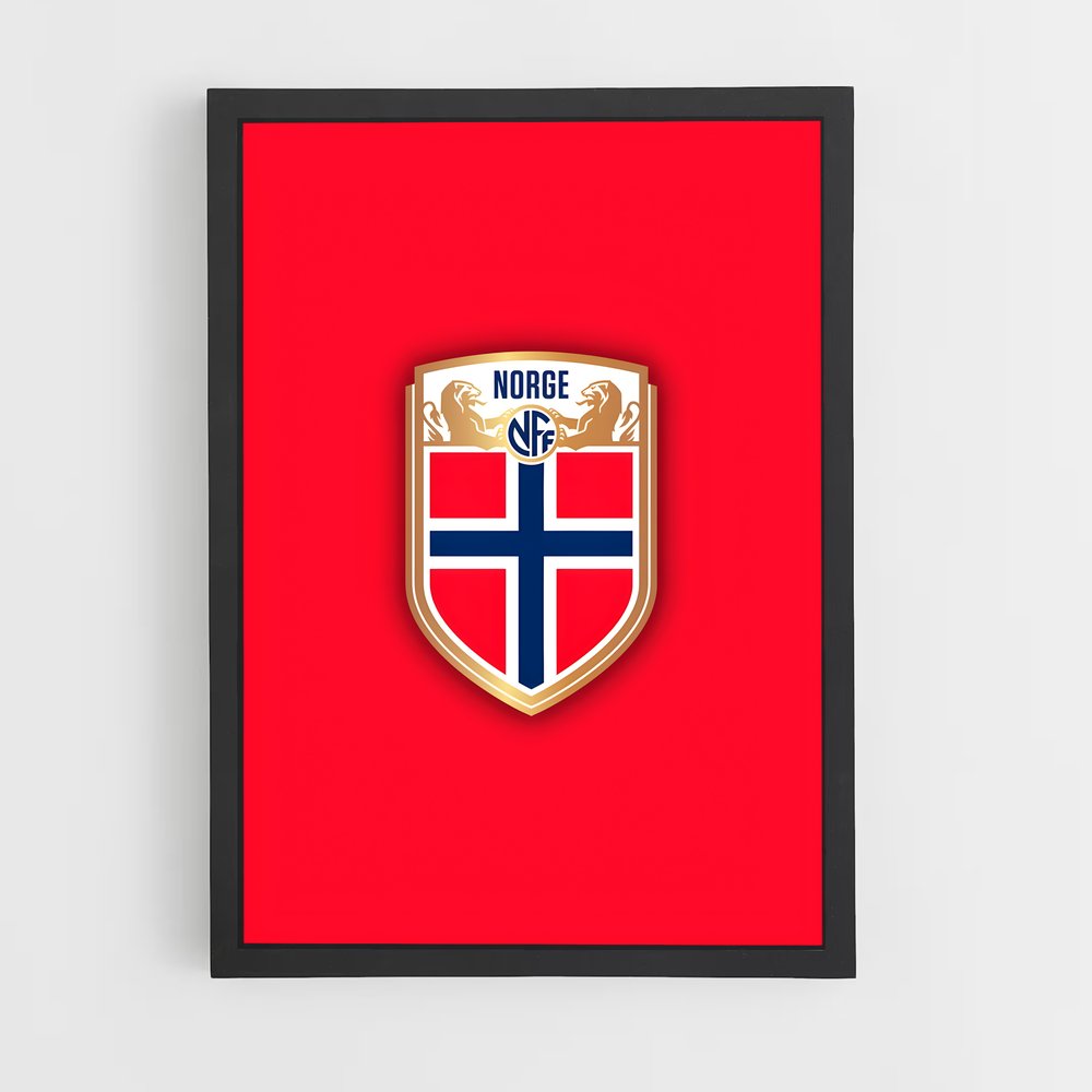 ap-norway national football team-5 cadre Noir