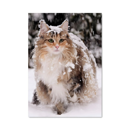 Poster Norwegian forest cat 84740