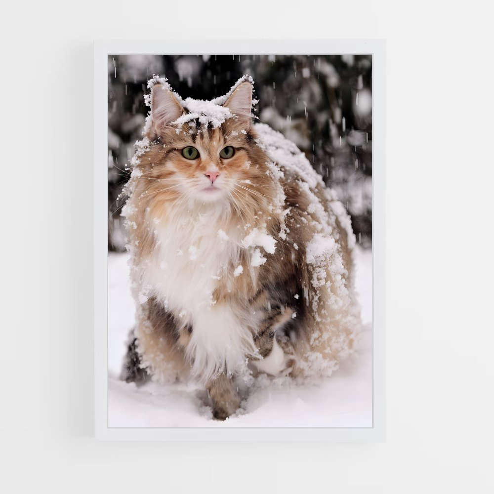 ap-norwegian forest cat-1 cadre Blanc