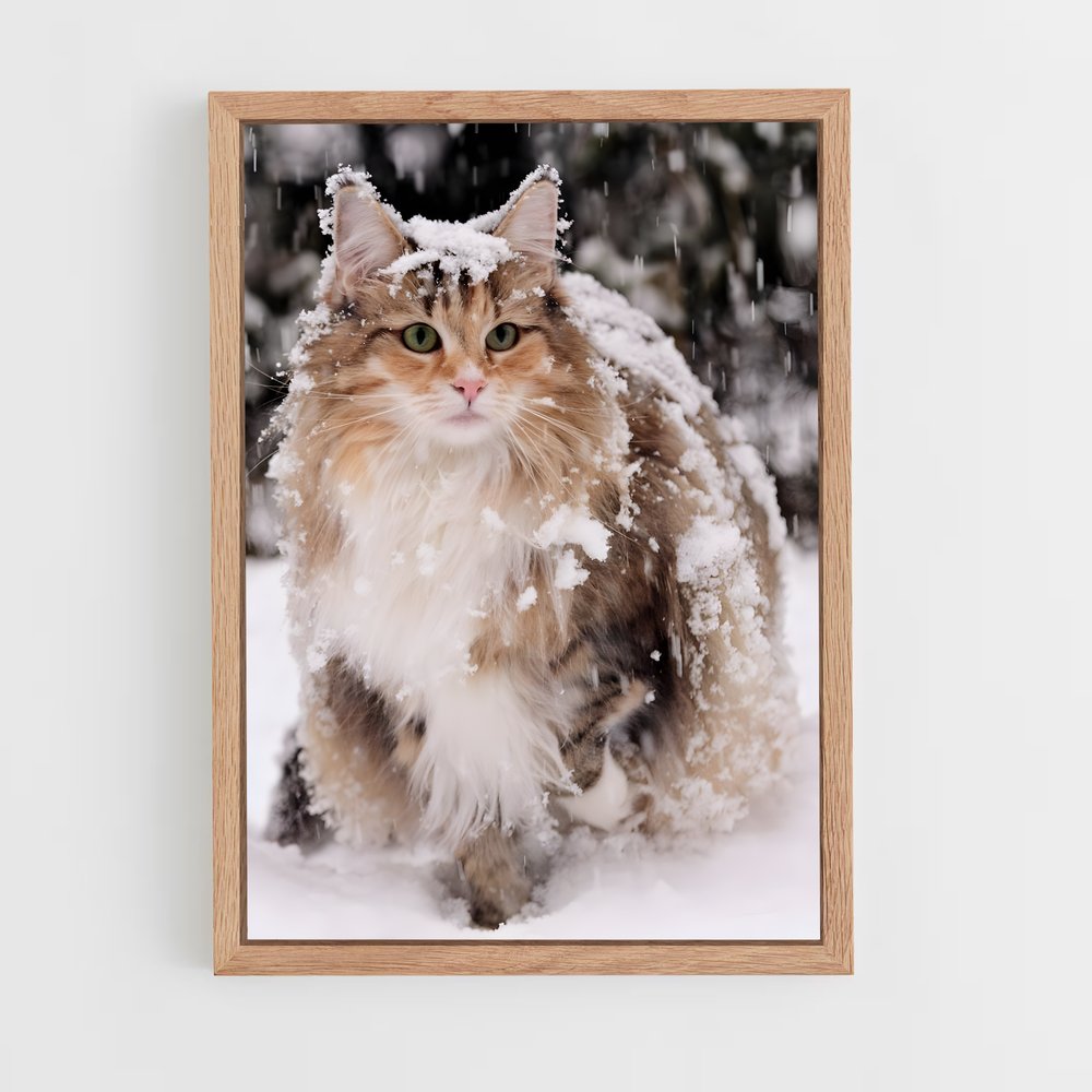 ap-norwegian forest cat-1 cadre Bois clair