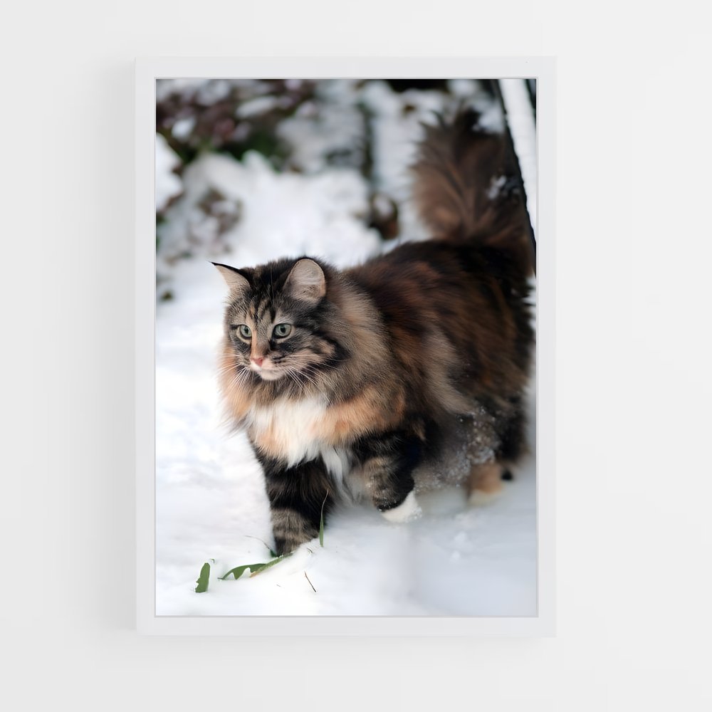 ap-norwegian forest cat-2 cadre Blanc