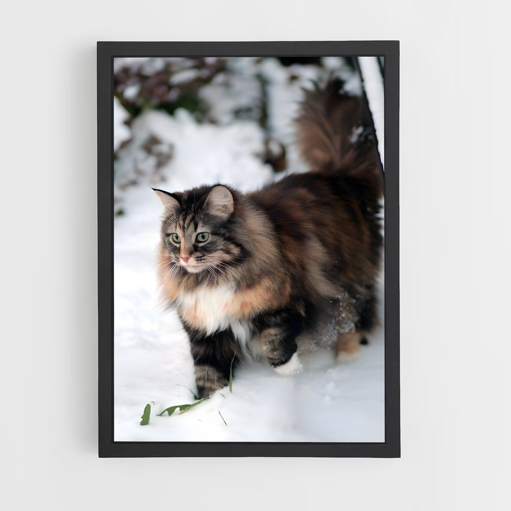 ap-norwegian forest cat-2 cadre Noir