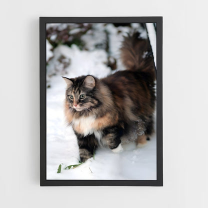 ap-norwegian forest cat-2 cadre Noir