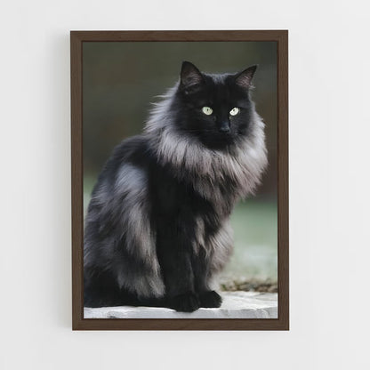 ap-norwegian forest cat-5 cadre Bois foncé