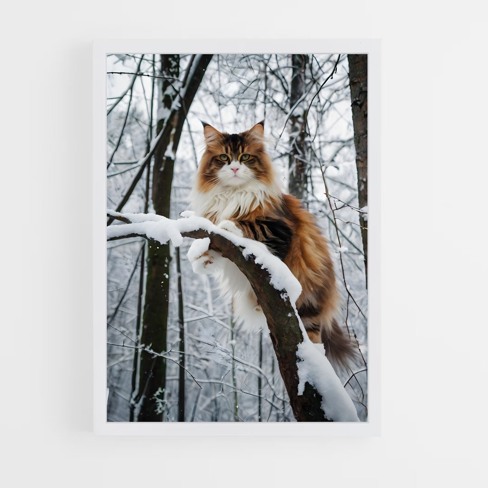 ap-norwegian forest cat-6 cadre Blanc
