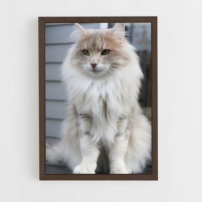 ap-norwegian forest cat-7 cadre Bois foncé