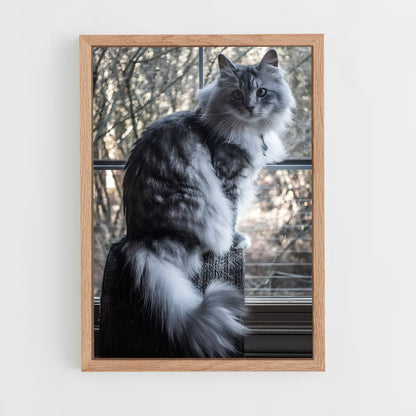 ap-norwegian forest cat-9 cadre Bois clair