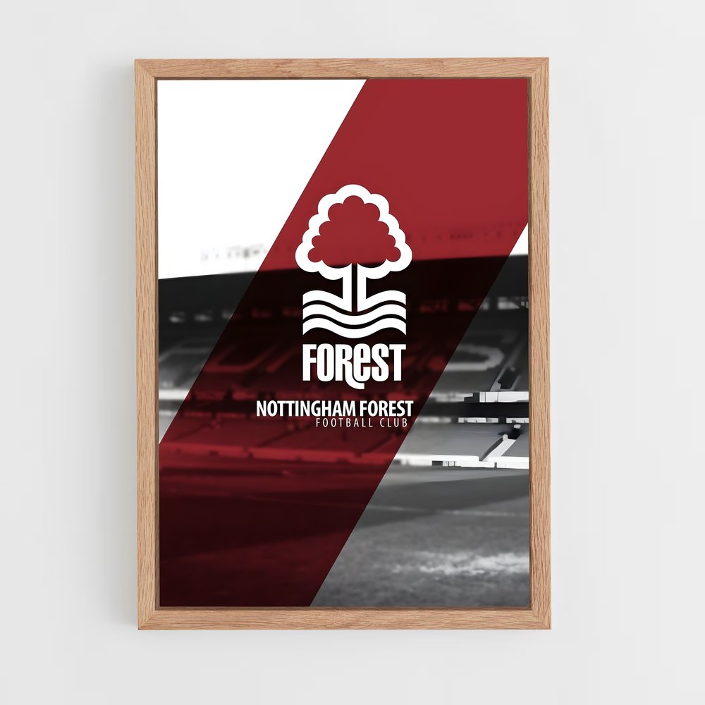 ap-nottingham forest fc-3 cadre Bois clair