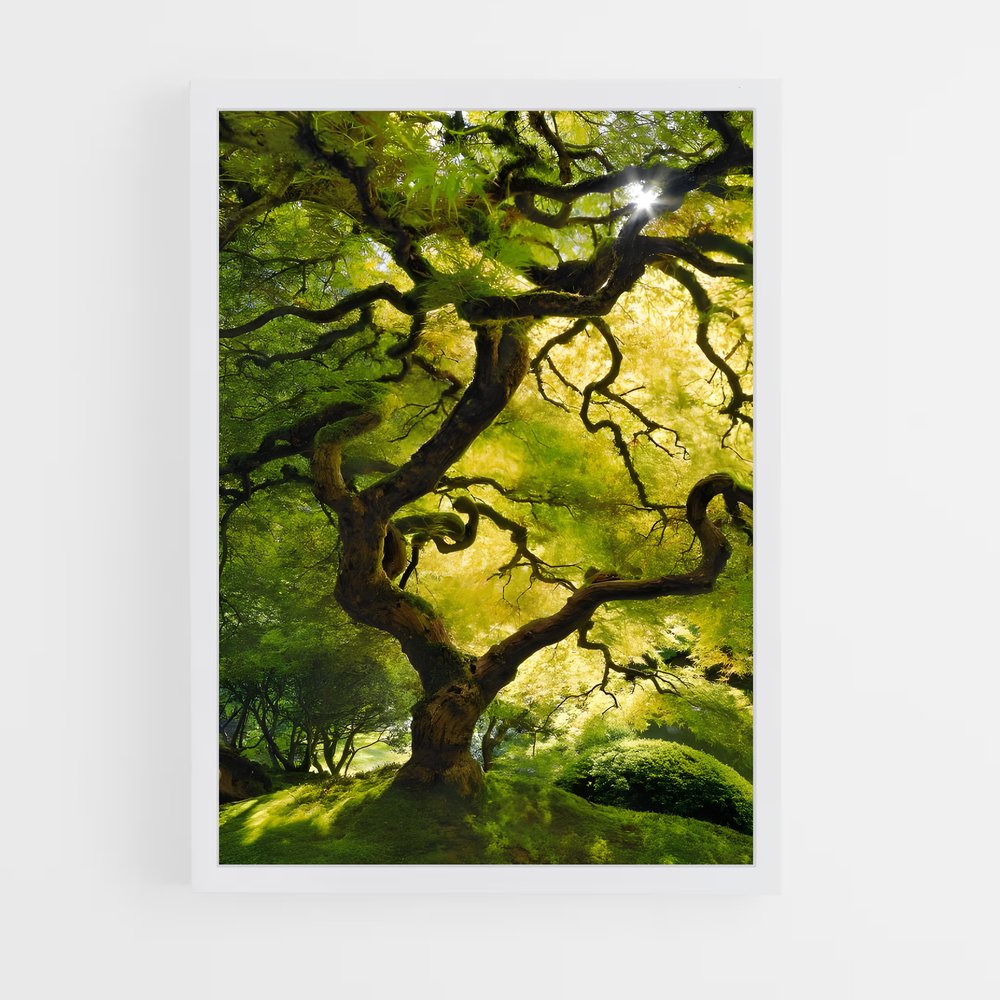 ap-oak-2 cadre Blanc