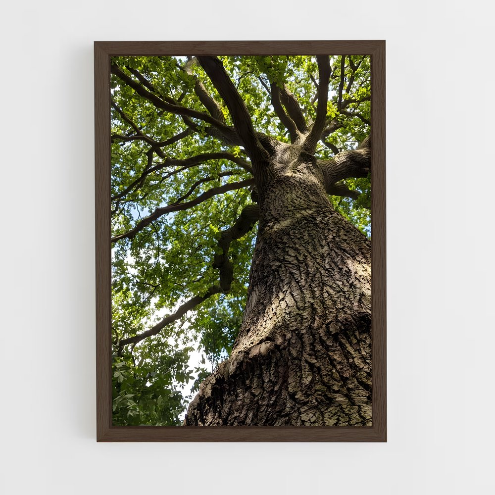 ap-oak-7 cadre Bois foncé