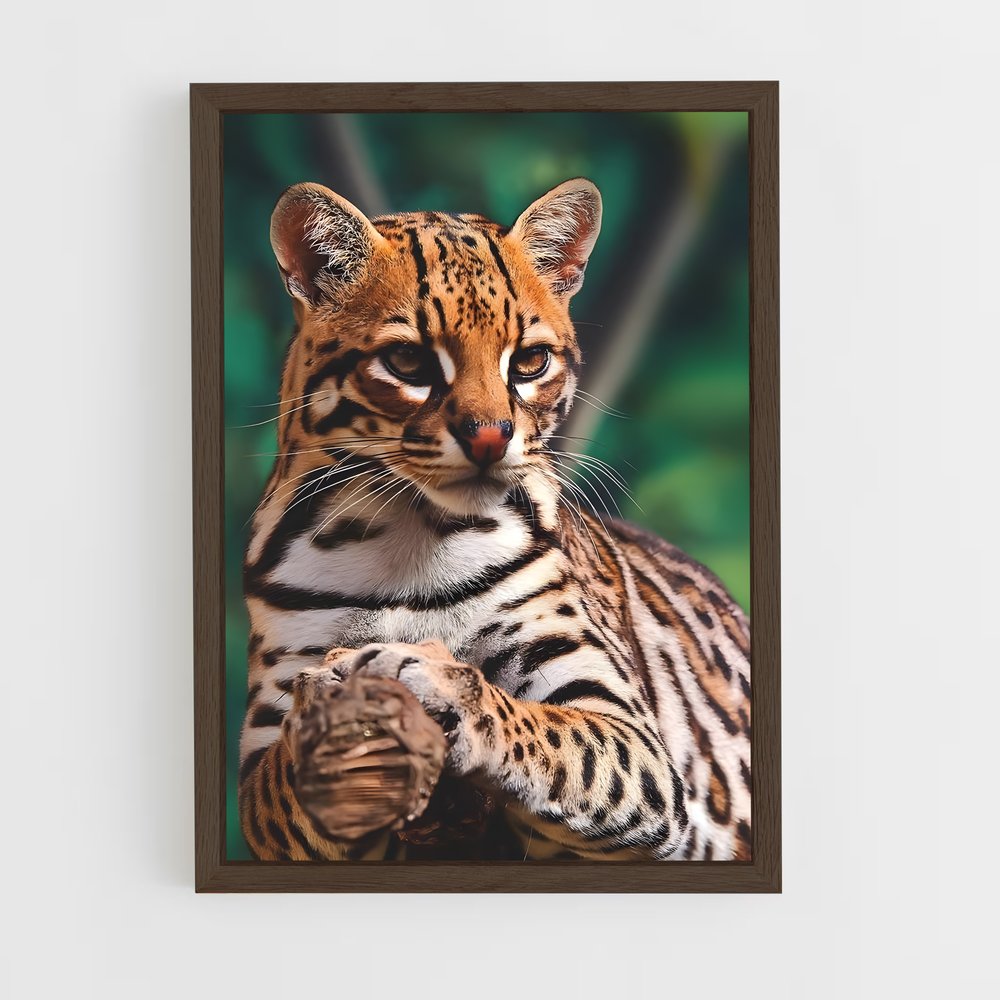 ap-ocelot-1 cadre Bois foncé