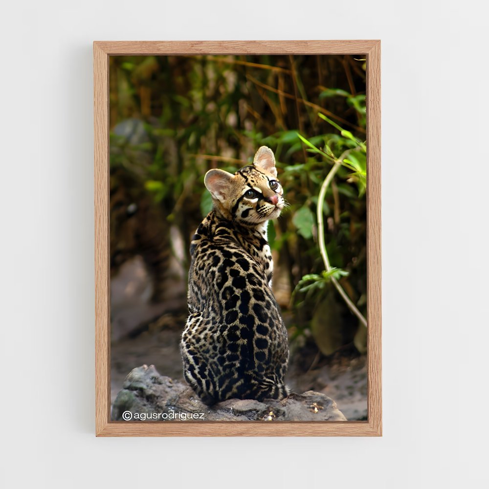 ap-ocelot-2 cadre Bois clair