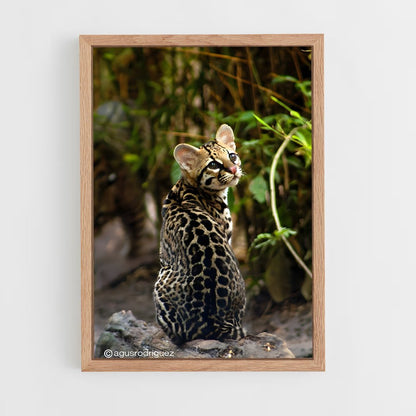 ap-ocelot-2 cadre Bois clair