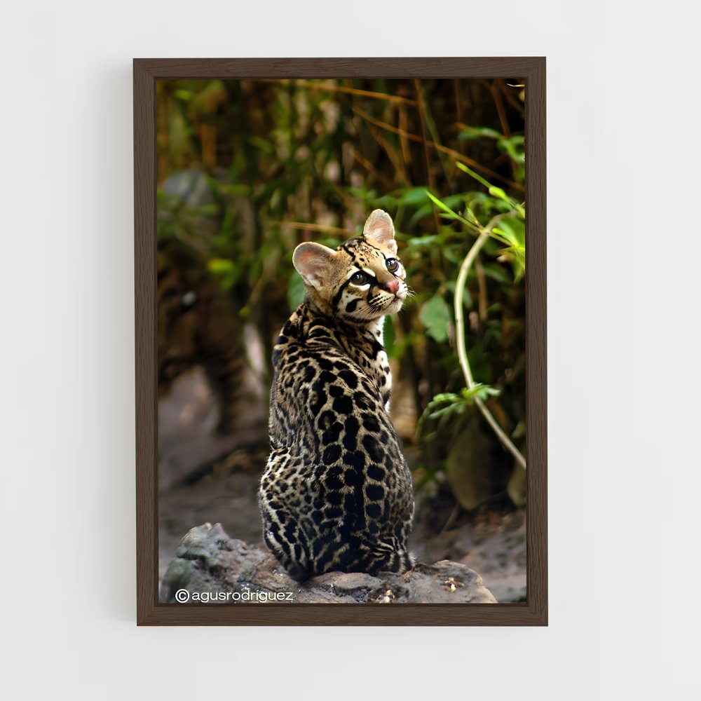 ap-ocelot-2 cadre Bois foncé