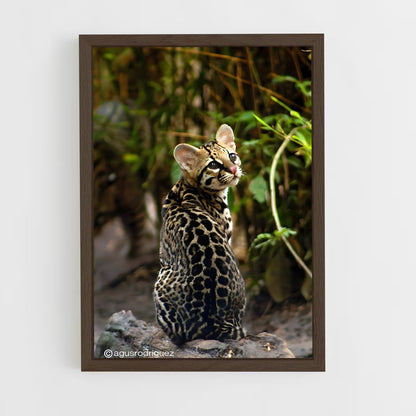 ap-ocelot-2 cadre Bois foncé