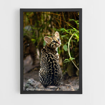 ap-ocelot-2 cadre Noir