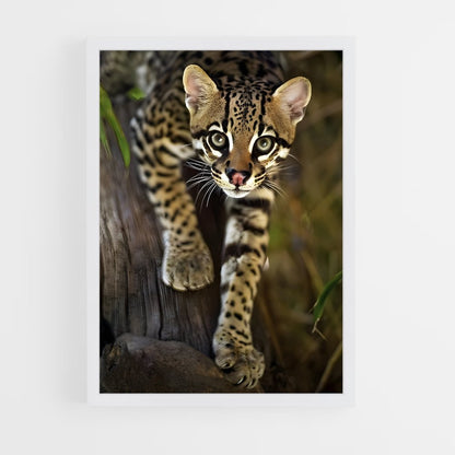 ap-ocelot-3 cadre Blanc