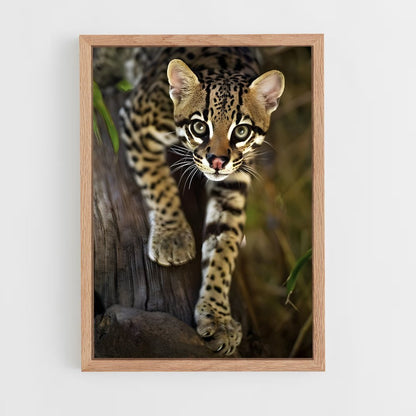 ap-ocelot-3 cadre Bois clair