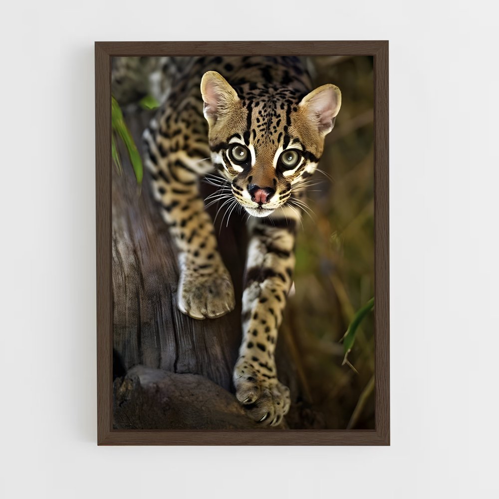 ap-ocelot-3 cadre Bois foncé