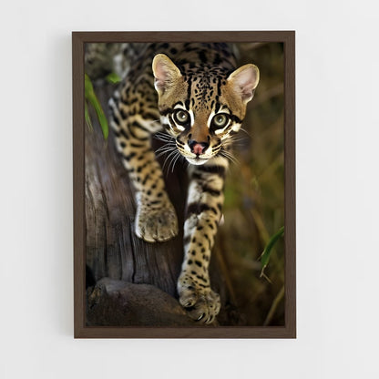 ap-ocelot-3 cadre Bois foncé