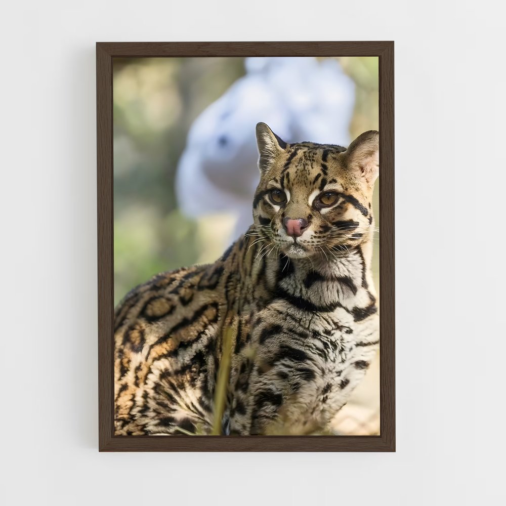 ap-ocelot-5 cadre Bois foncé