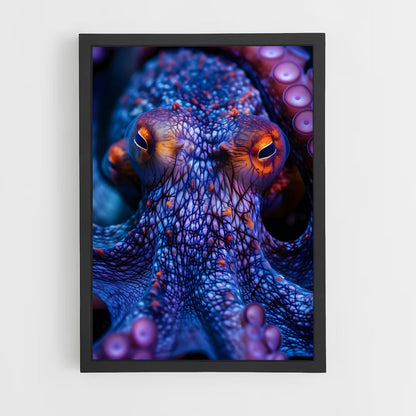 ap-octopus-12 cadre Noir