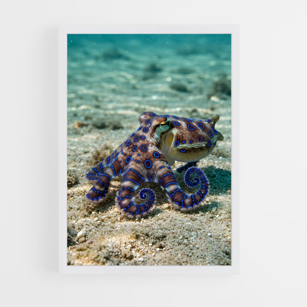 ap-octopus-6 cadre Blanc