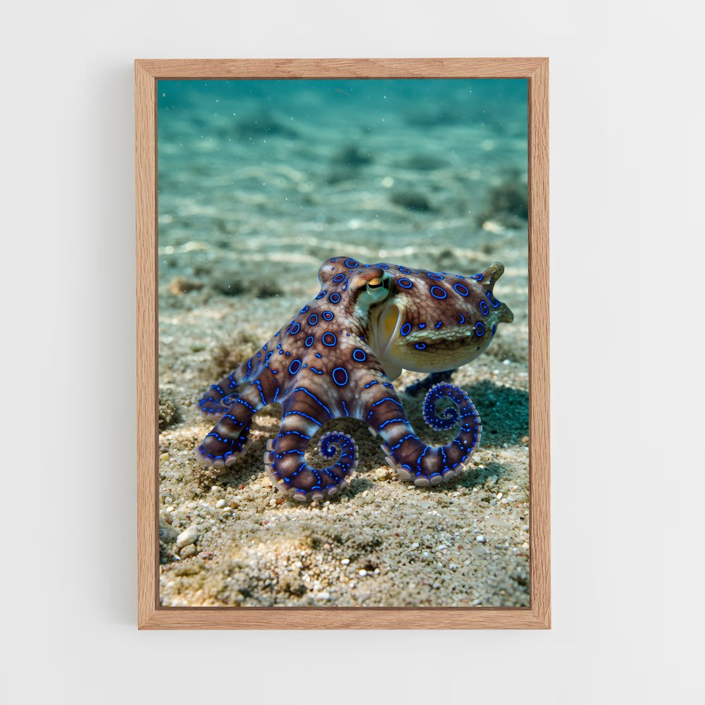 ap-octopus-6 cadre Bois clair