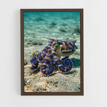 ap-octopus-6 cadre Bois foncé