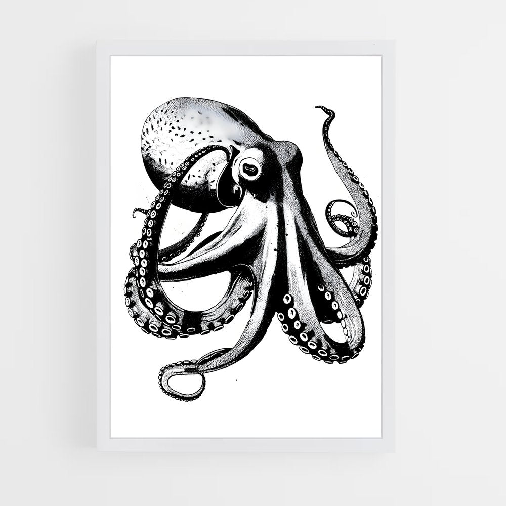 ap-octopus-7 cadre Blanc