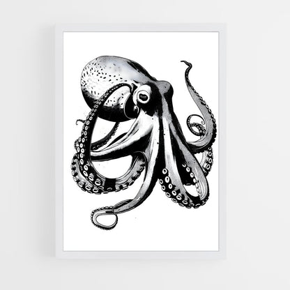 ap-octopus-7 cadre Blanc