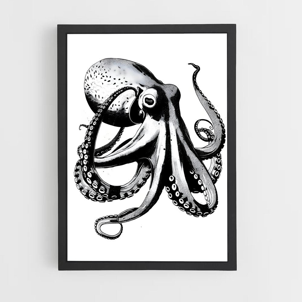 ap-octopus-7 cadre Noir