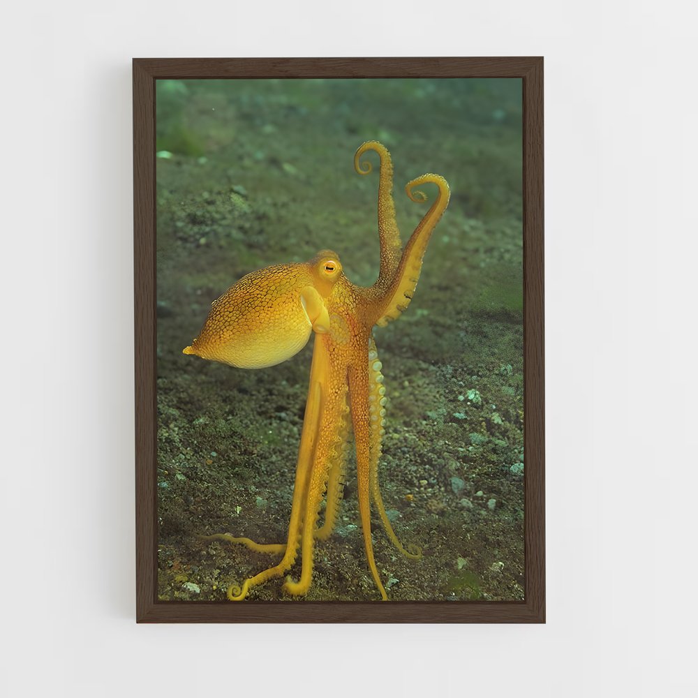 ap-octopus-8 cadre Bois foncé